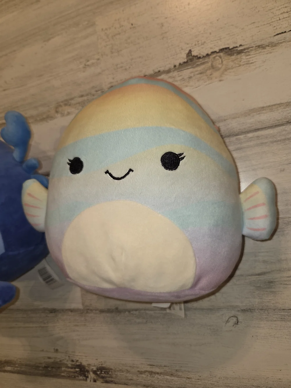 Squishmallows Blue Crab & Pastel Rainbow Fish Plush Duo Lobert & Canda Lot Of 2